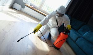 pest control